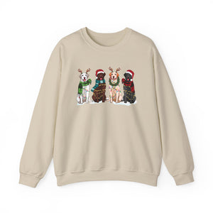 Funny sweatshirt dog Animal lover Christmas gift