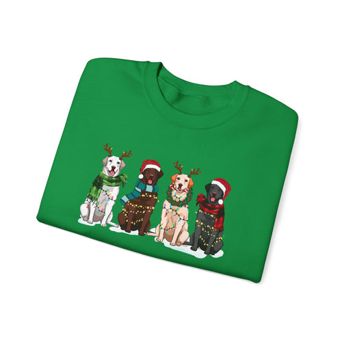 Funny sweatshirt dog Animal lover Christmas gift