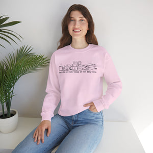 There Is No Such Thing As Too Many Books unisex gift sweatshirt  for Book Lover